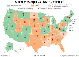Map of United States showing marijuana legal states in 2026 with 42 states allowing medical cannabis and 24 states with recreational marijuana laws